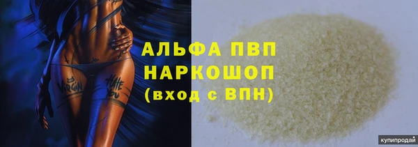 Альфа ПВП Новозыбков