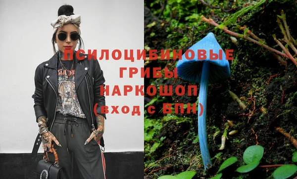 Альфа ПВП Новозыбков
