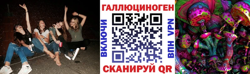 Псилоцибиновые грибы Psilocybe  Новокузнецк 