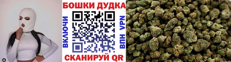 Конопля план  Новокузнецк 
